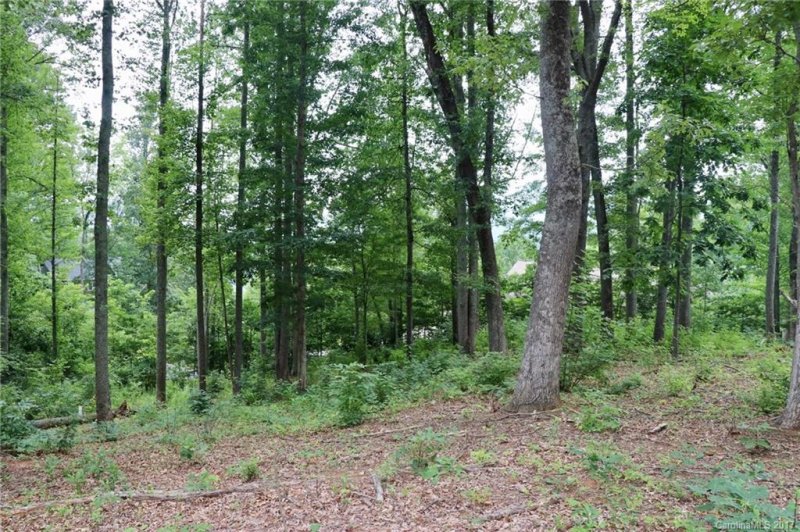 Property image 2 at L 86 Denman Drive, Lake Junaluska, NC 28745