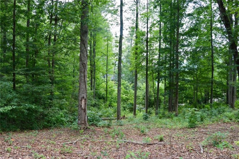 Property image 3 at L 86 Denman Drive, Lake Junaluska, NC 28745