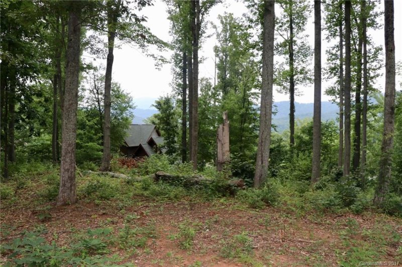 Property image 4 at L 86 Denman Drive, Lake Junaluska, NC 28745