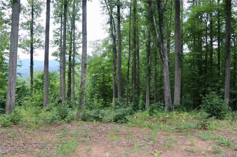 Property image 5 at L 86 Denman Drive, Lake Junaluska, NC 28745