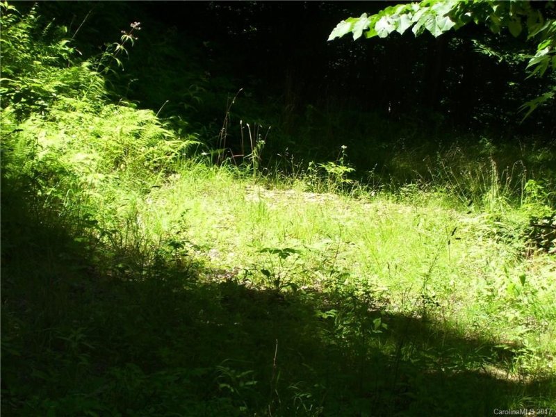 Property image 3 at 35 Trickle Creek Road, Waynesville, NC 28785