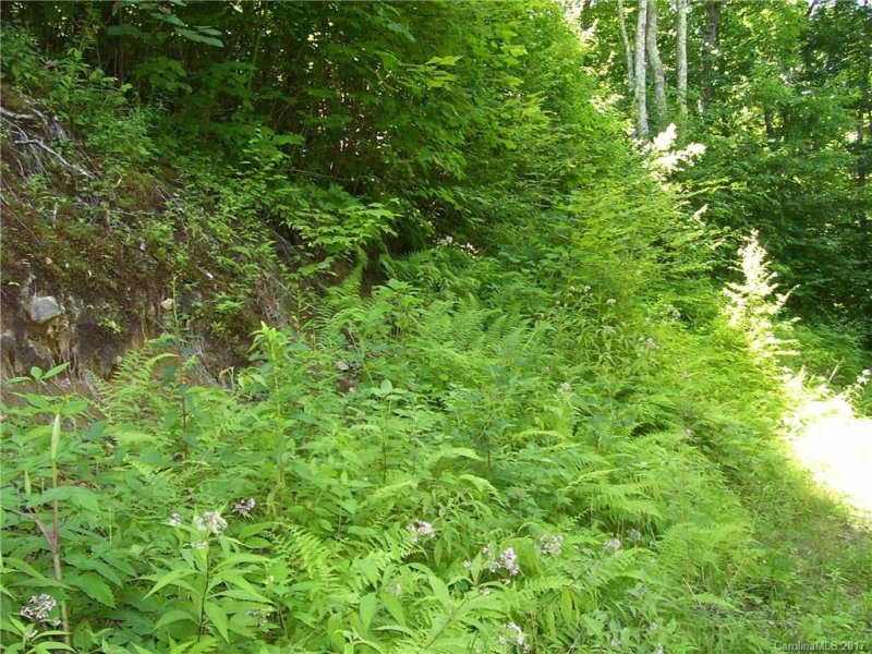 Property image 5 at 35 Trickle Creek Road, Waynesville, NC 28785