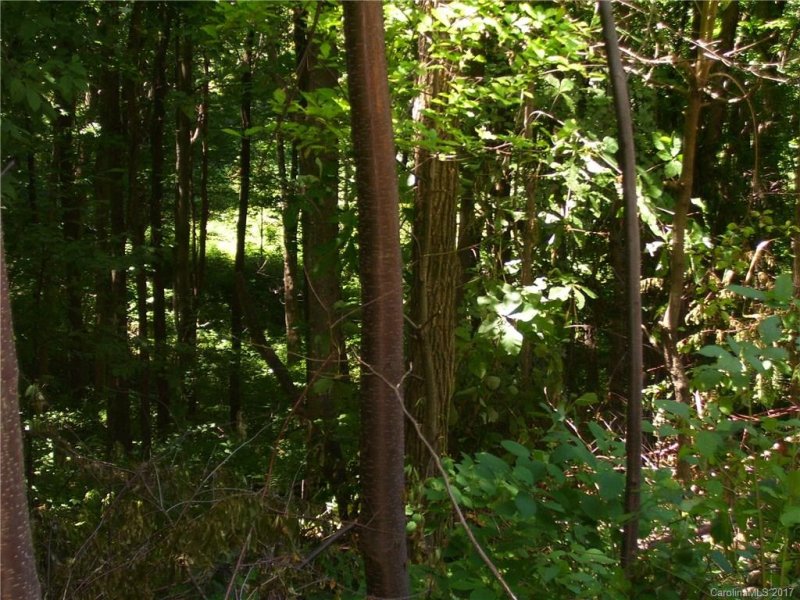 Property image 3 at 14 Bow N Arrow Cove, Waynesville, NC 28785