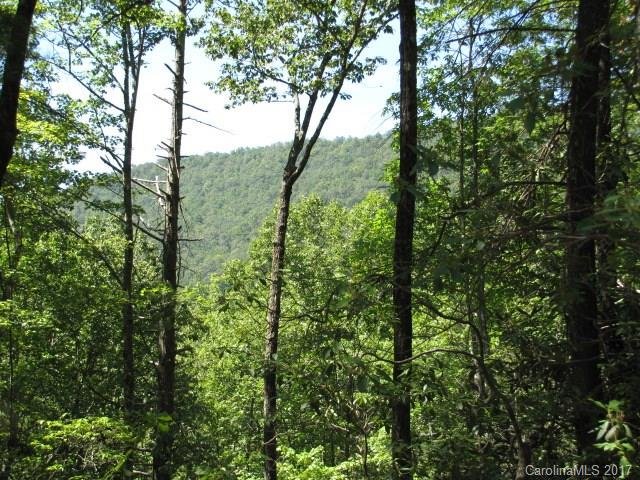 Property image 2 at 499 Peppervine Circle, Rosman, NC 28772