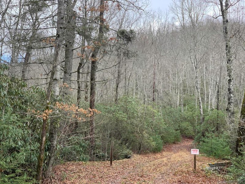 Property image 3 at Lot 3 Steel Creek Road, Brevard, NC 28712