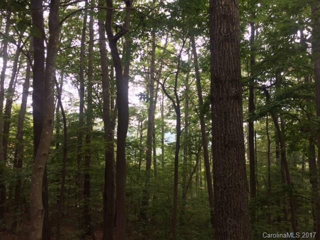 Property image 2 at 2 Ridge Drive, Saluda, NC 28773