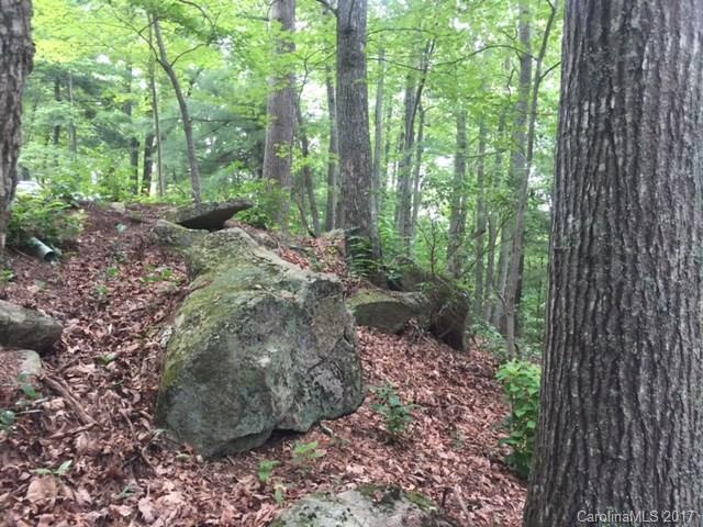 Property image 3 at 2 Ridge Drive, Saluda, NC 28773