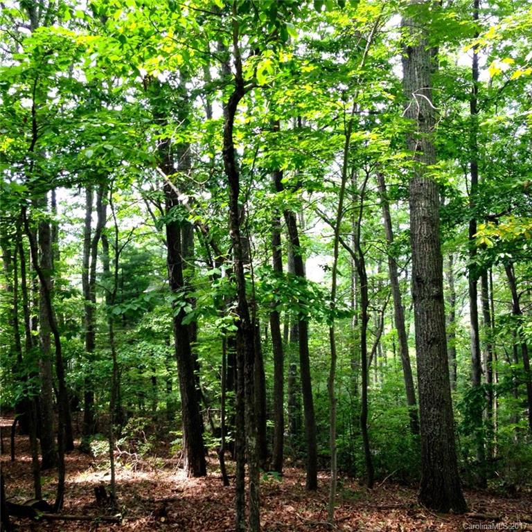 Property image 4 at 2 Ridge Drive, Saluda, NC 28773