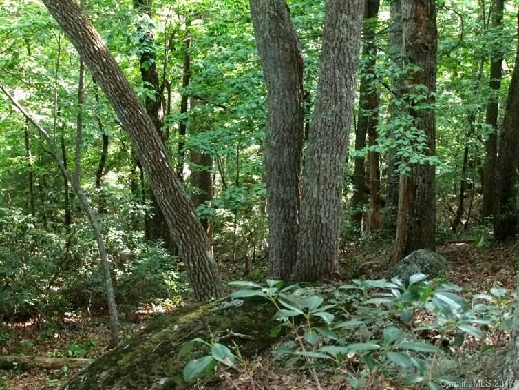 Property image 5 at 2 Ridge Drive, Saluda, NC 28773