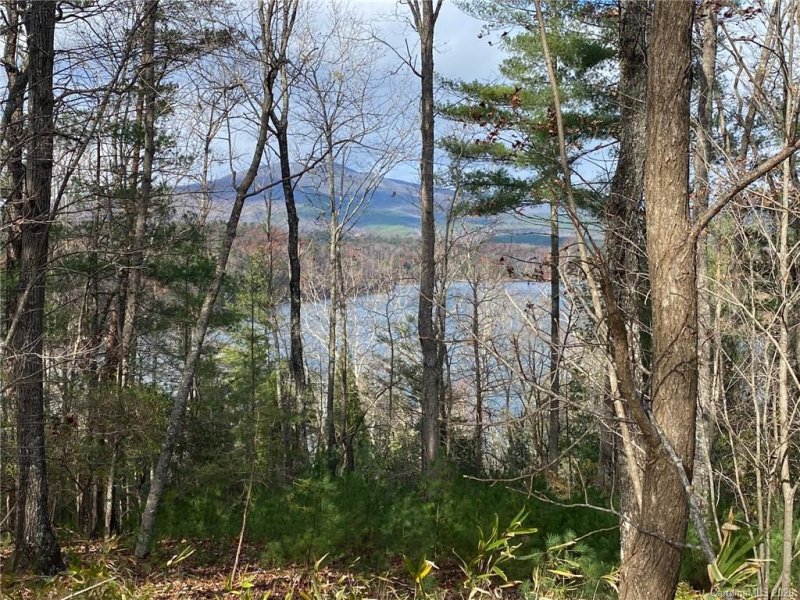 Property image 4 at Lot 21 High Camps Drive, Marion, NC 28752