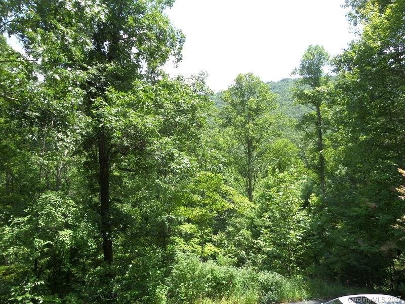 Property image 3 at 156 Foster Hill Drive, Hendersonville, NC 28739