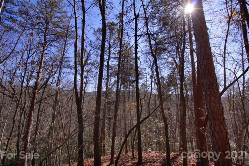 Property image 3 at Lot 79 Round Mountain Road, Brevard, NC 28712