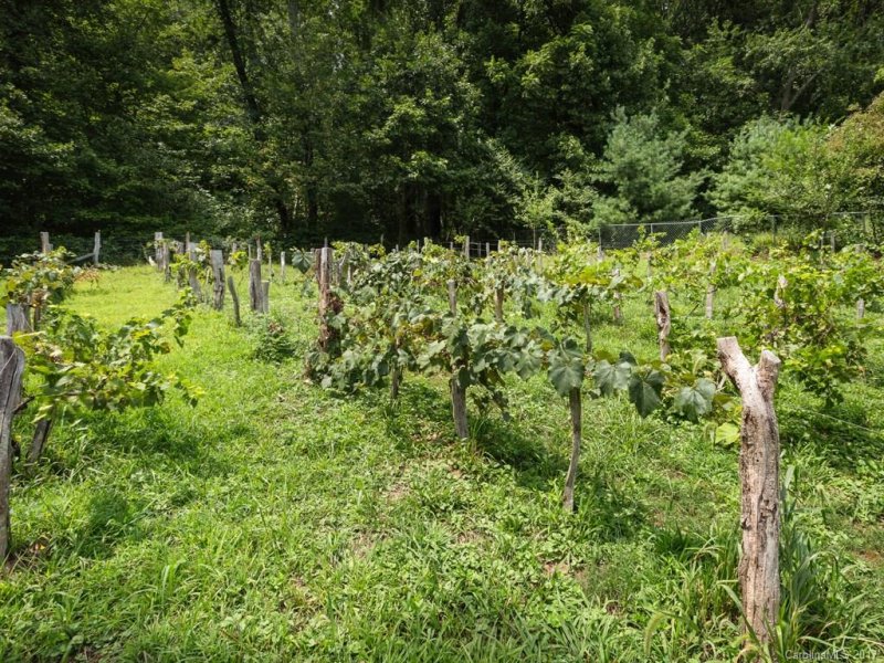 Property image 5 at 17 Hillview Circle, Asheville, NC 28805