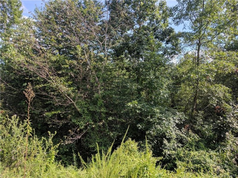 Property image 2 at Lot 11 Gristview Road, Marshall, NC 28753