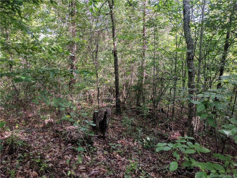 Property image 3 at Lot 11 Gristview Road, Marshall, NC 28753