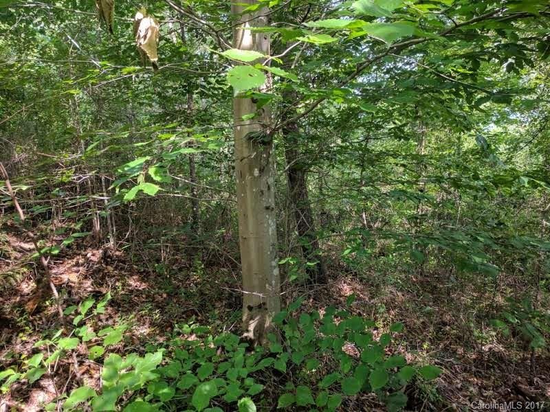 Property image 4 at Lot 11 Gristview Road, Marshall, NC 28753