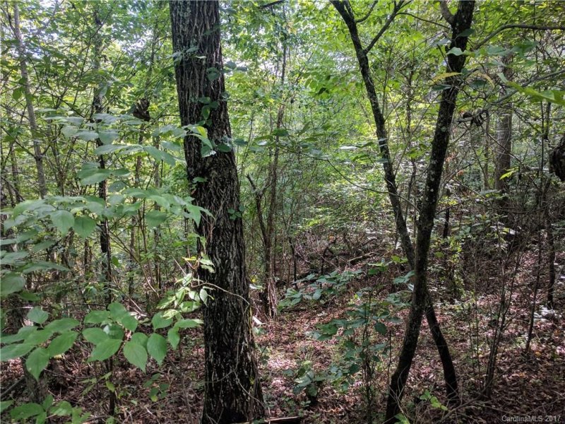 Property image 5 at Lot 11 Gristview Road, Marshall, NC 28753