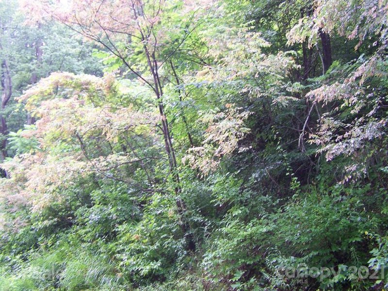 Property image 2 at Lot 70 Running Deer Lane, Mars Hill, NC 28754