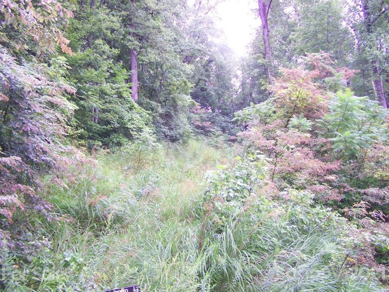 Property image 4 at Lot 70 Running Deer Lane, Mars Hill, NC 28754