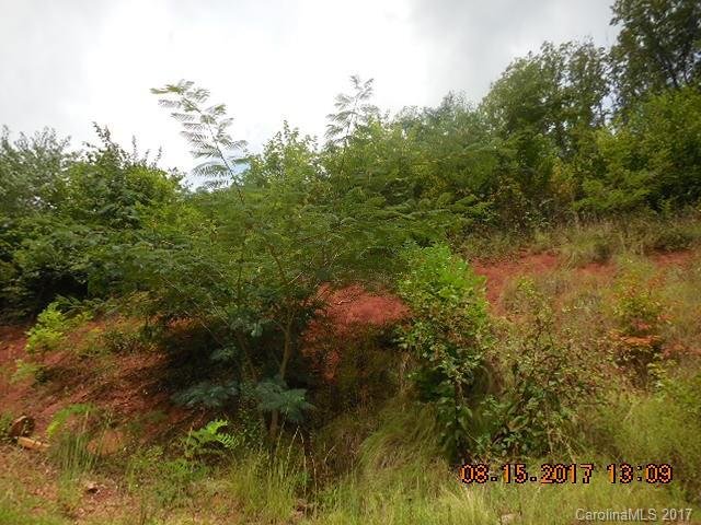 Property image 5 at 42 Tessa Lane, Waynesville, NC 28786