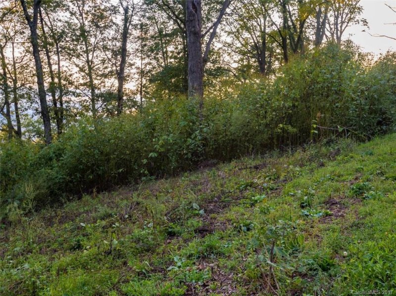 Property image 4 at 237 Serenity Ridge Trail, Asheville, NC 28804