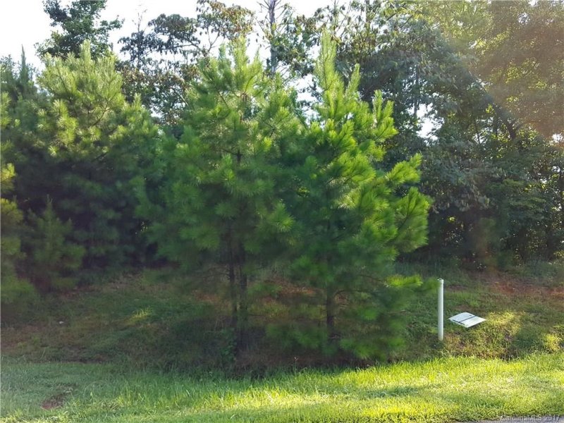 Property image 3 at 106 Heron Cove Drive, Clover, SC 29710