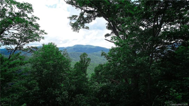 Property image 2 at 9999 Lower Flat Creek Road, Black Mountain, NC 28711