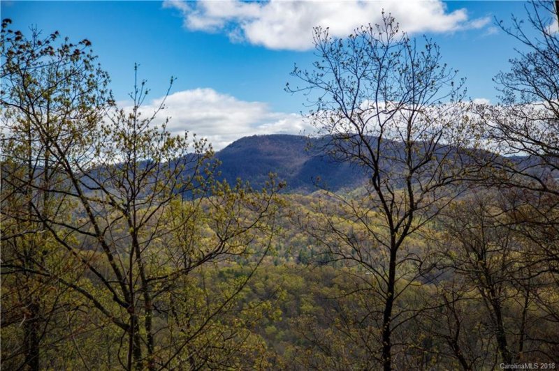 Property image 3 at 9999 Lower Flat Creek Road, Black Mountain, NC 28711