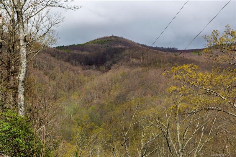 Property image 4 at 9999 Lower Flat Creek Road, Black Mountain, NC 28711