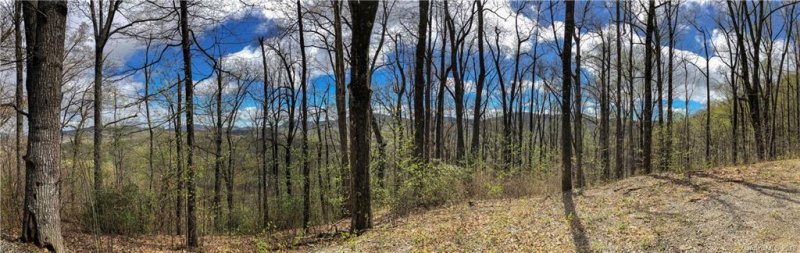 Property image 5 at 9999 Lower Flat Creek Road, Black Mountain, NC 28711