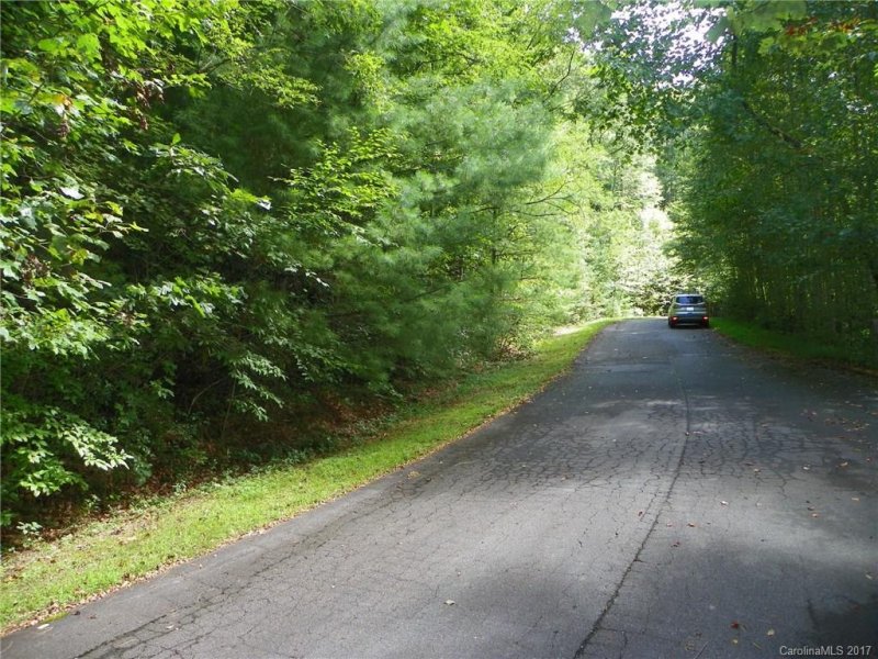 Property image 3 at 438 Hearthstone Way, Horse Shoe, NC 28742