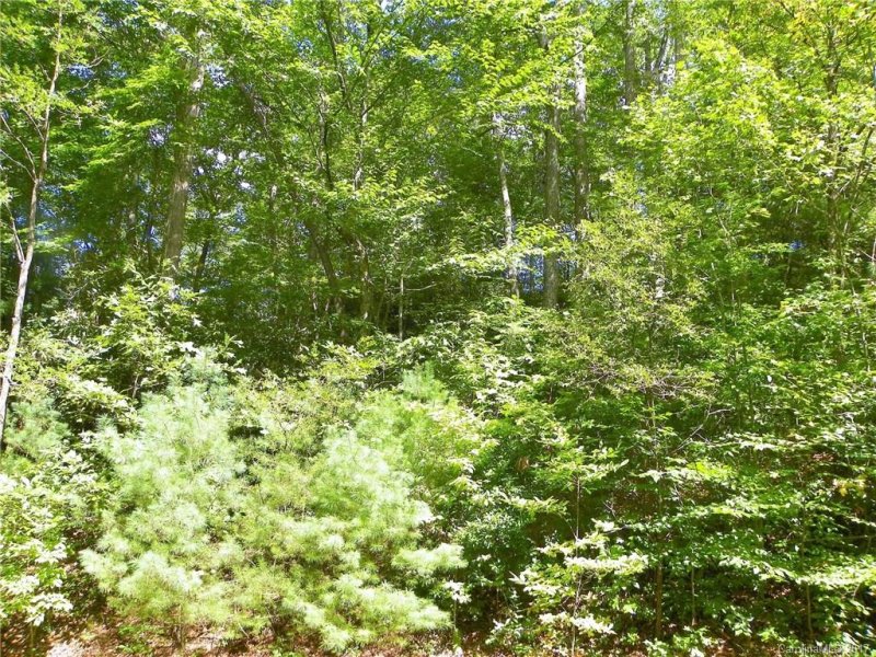 Property image 4 at 438 Hearthstone Way, Horse Shoe, NC 28742