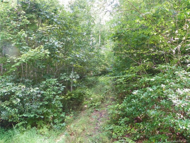 Property image 4 at 412 Hearthstone Way, Horse Shoe, NC 28742