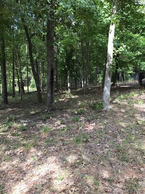 Property image 4 at 8204 Victoria Lake Drive, Waxhaw, NC 28173