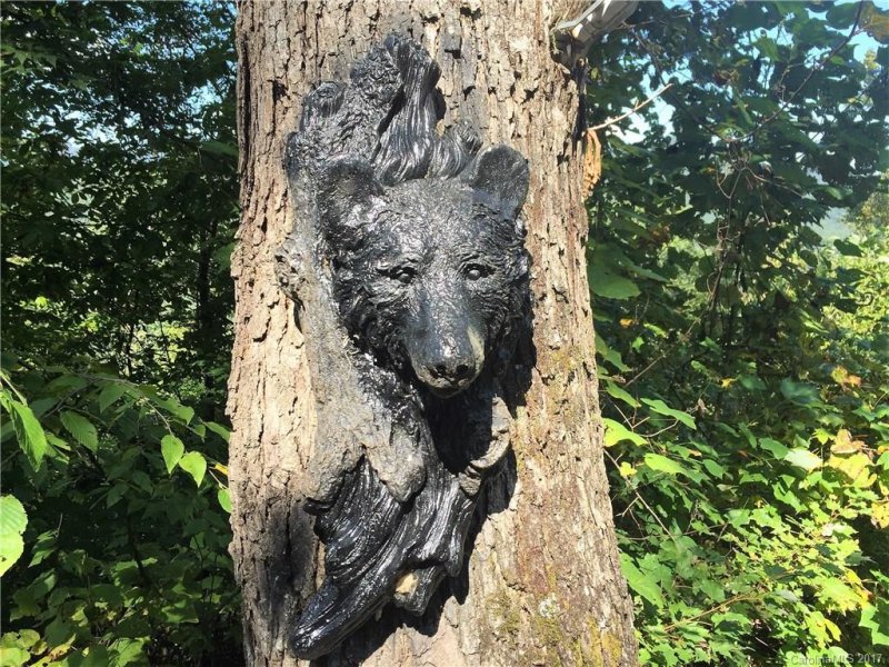 Property image 3 at 125 Bear Hug Way, Sylva, NC 28779