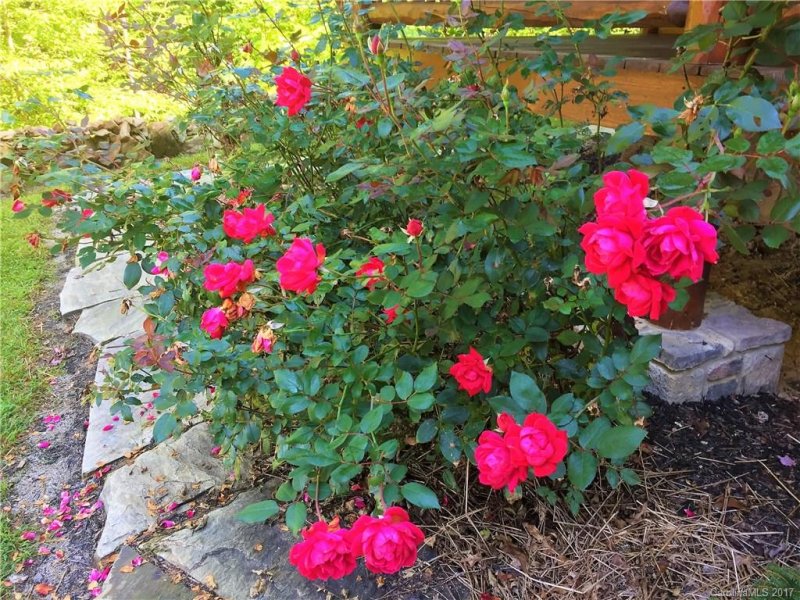 Property image 4 at 125 Bear Hug Way, Sylva, NC 28779