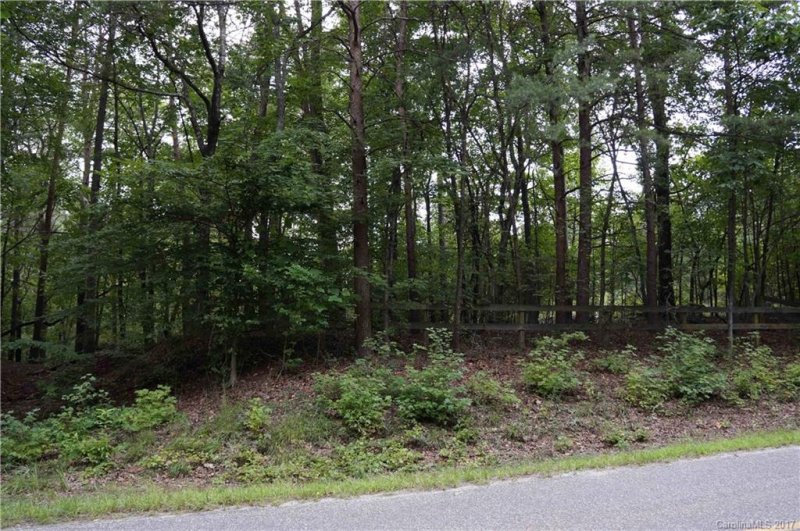 Property image 4 at 0000 Golden Road, Tryon, NC 28782