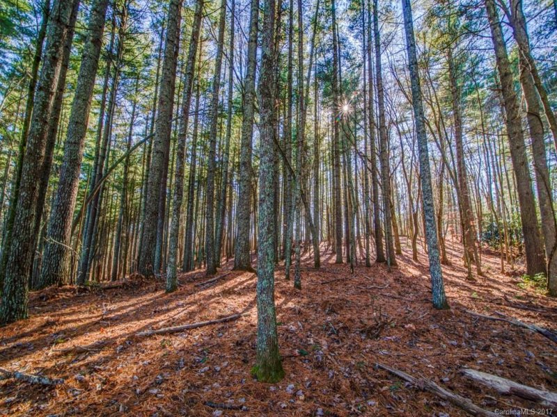 Property image 3 at Lot 6 Olivia Trace, Fletcher, NC 28732