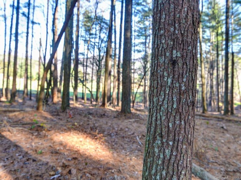 Property image 4 at Lot 6 Olivia Trace, Fletcher, NC 28732