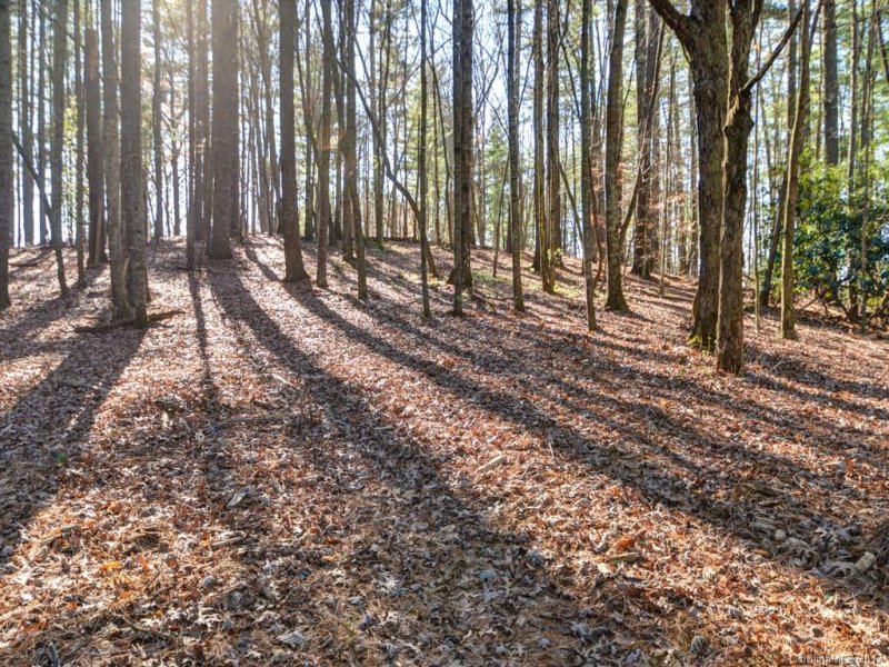 Property image 5 at Lot 6 Olivia Trace, Fletcher, NC 28732