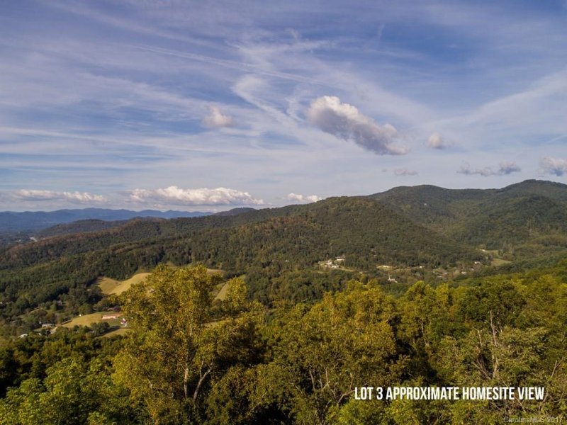 Property image 4 at 30 Longstreet Court, Weaverville, NC 28787