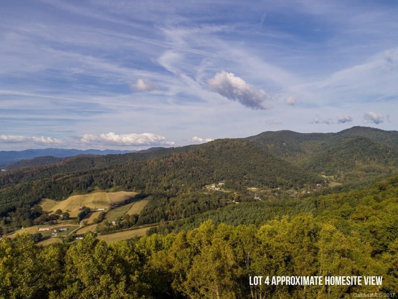 Property image 4 at 36 Longstreet Court, Weaverville, NC 28787