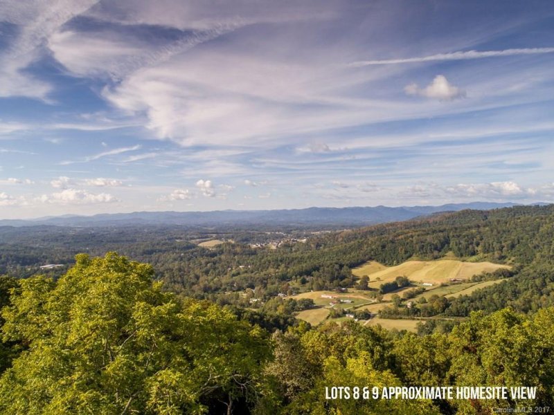 Property image 3 at 64 Longstreet Court, Weaverville, NC 28787