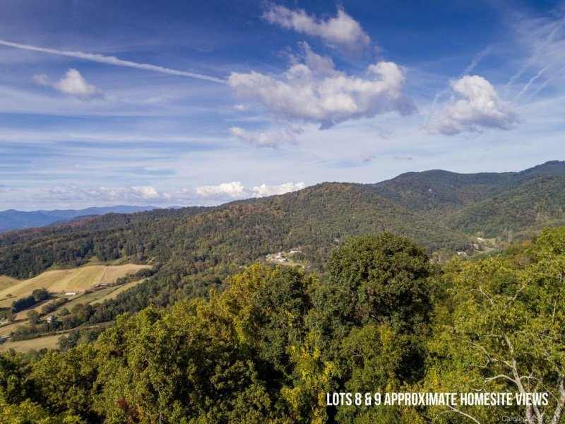 Property image 4 at 64 Longstreet Court, Weaverville, NC 28787