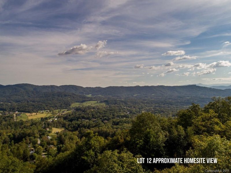 Property image 3 at 45 Longstreet Court, Weaverville, NC 28787