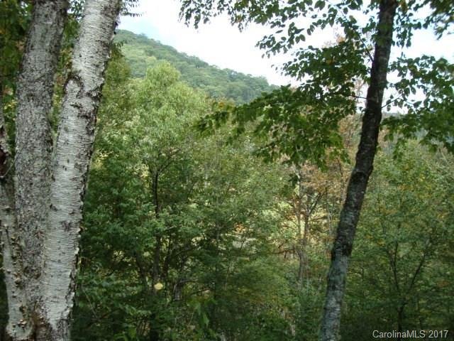 Property image 4 at 648 Conley Drive, Maggie Valley, NC 28751