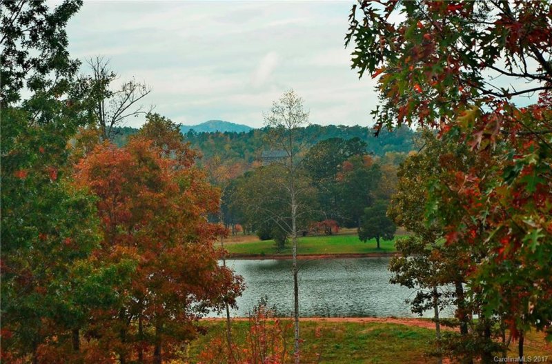 Property image 4 at 128 Doveridge Road, Columbus, NC 28722