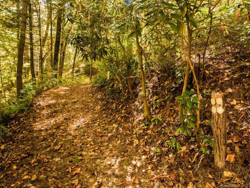 Property image 5 at 313 Monarch Road, Hendersonville, NC 28739