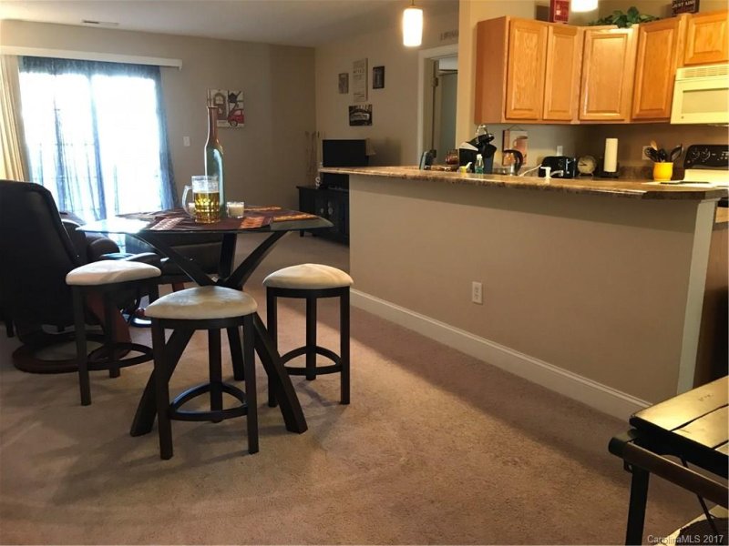 Property image 3 at 234 Wash Creek Drive, Hendersonville, NC 28739