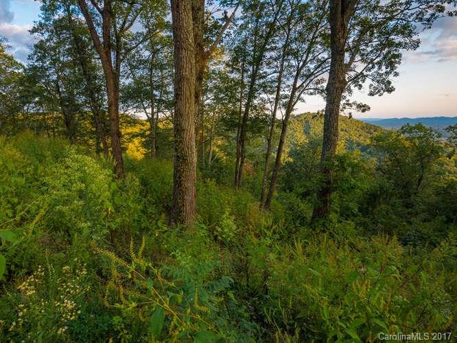 Property image 4 at 227 Serenity Ridge Trail, Asheville, NC 28804